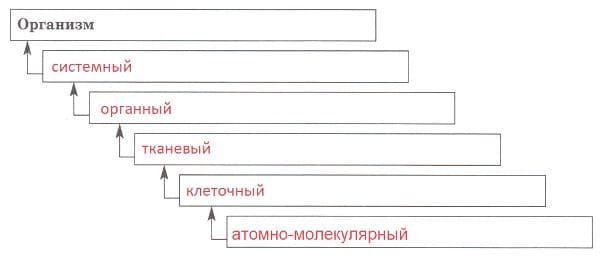 ГДЗ ответы по Биологии за 8 класс, рабочая тетрадь (Линия Жизни) Пасечник