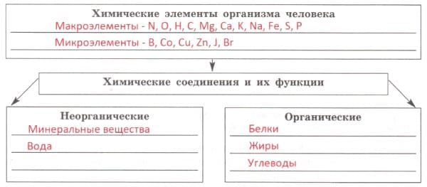 ГДЗ ответы по Биологии за 8 класс, рабочая тетрадь (Линия Жизни) Пасечник