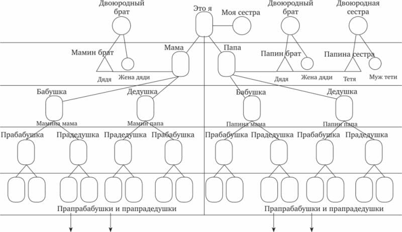 ГДЗ ответы по Биологии за 8 класс, рабочая тетрадь (Линия Жизни) Пасечник
