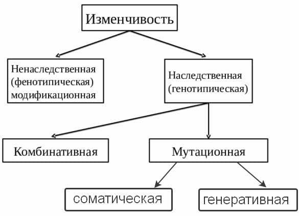 ГДЗ по Биологии за 9 класс, рабочая тетрадь (Линия Жизни), Пасечник