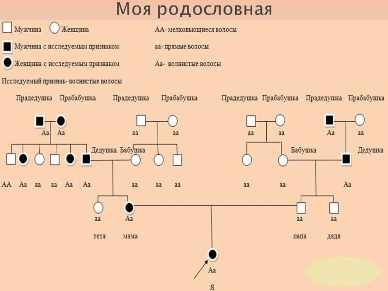 ГДЗ по Биологии за 9 класс, рабочая тетрадь (Линия Жизни), Пасечник