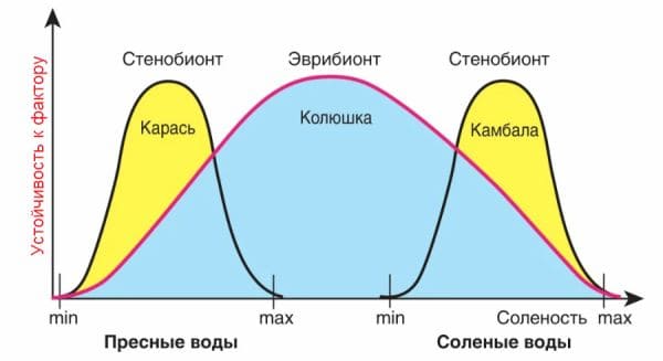 ГДЗ по Биологии за 9 класс, рабочая тетрадь (Линия Жизни), Пасечник