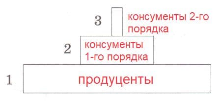 ГДЗ по Биологии за 9 класс, рабочая тетрадь (Линия Жизни), Пасечник
