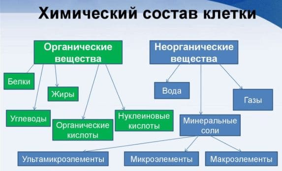 ГДЗ по Биологии за 9 класс, рабочая тетрадь (Линия Жизни), Пасечник