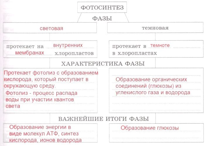 ГДЗ по Биологии за 9 класс, рабочая тетрадь (Линия Жизни), Пасечник