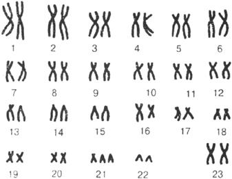 ОГЭ по биологии
