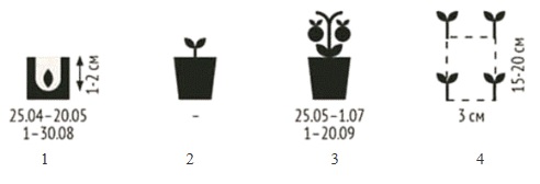 ОГЭ по биологии