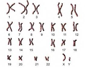 ОГЭ по биологии