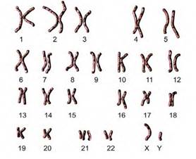 ОГЭ по биологии