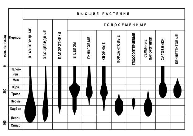 Эволюционное древо непарнокопытных