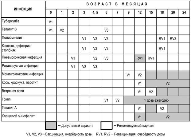 Эволюционное древо непарнокопытных