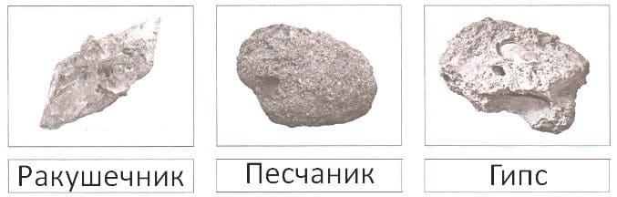 ГДЗ по Географии за 5 класс "Дневник географа-следопыта", учебник Летягин
