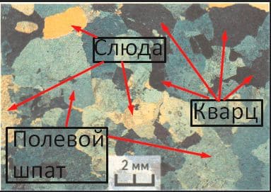 ГДЗ по Географии за 5 класс "Дневник географа-следопыта", учебник Летягин