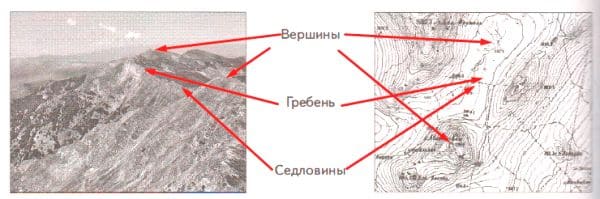 ГДЗ по Географии за 5 класс "Дневник географа-следопыта", учебник Летягин