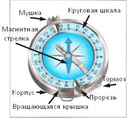 ГДЗ по Географии за 5 класс "Дневник географа-следопыта", учебник Летягин