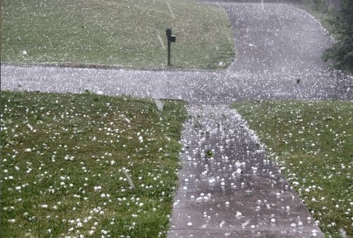 ГДЗ ответы по Географии, 6 класс, учебник Летягина, 2 часть ГДЗ ответы по Географии, 6 класс, учебник Летягина, 2 часть