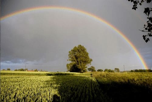 ГДЗ ответы по Географии, 6 класс, учебник Летягина, 2 часть ГДЗ ответы по Географии, 6 класс, учебник Летягина, 2 часть