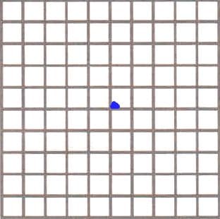 ГДЗ ответы по Географии, 6 класс, учебник Летягина, 2 часть ГДЗ ответы по Географии, 6 класс, учебник Летягина, 2 часть