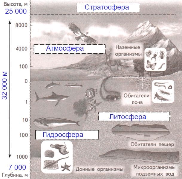 ГДЗ ответы по Географии, 6 класс, учебник Летягина, 2 часть ГДЗ ответы по Географии, 6 класс, учебник Летягина, 2 часть