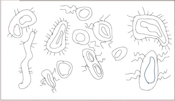 ГДЗ ответы по Географии, 6 класс, учебник Летягина, 2 часть ГДЗ ответы по Географии, 6 класс, учебник Летягина, 2 часть