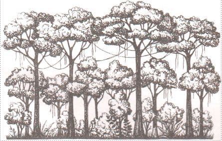 ГДЗ ответы по Географии, 6 класс, учебник Летягина, 2 часть ГДЗ ответы по Географии, 6 класс, учебник Летягина, 2 часть