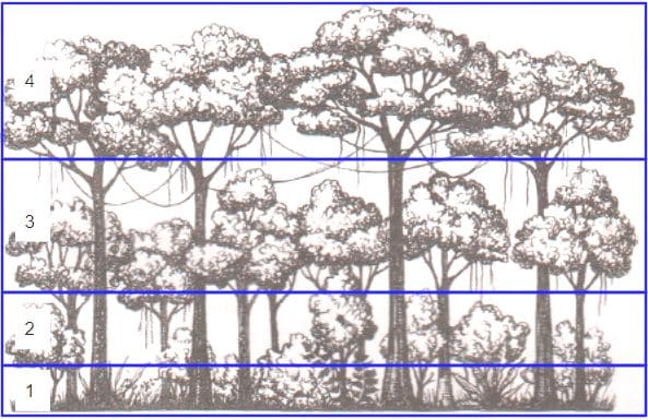 ГДЗ ответы по Географии, 6 класс, учебник Летягина, 2 часть ГДЗ ответы по Географии, 6 класс, учебник Летягина, 2 часть