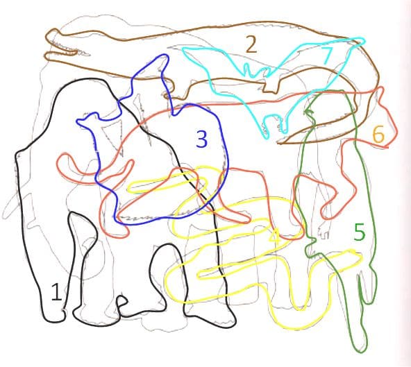 ГДЗ ответы по Географии, 6 класс, учебник Летягина, 2 часть ГДЗ ответы по Географии, 6 класс, учебник Летягина, 2 часть