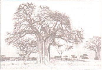 ГДЗ ответы по Географии, 6 класс, учебник Летягина, 2 часть ГДЗ ответы по Географии, 6 класс, учебник Летягина, 2 часть