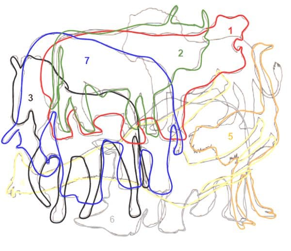ГДЗ ответы по Географии, 6 класс, учебник Летягина, 2 часть ГДЗ ответы по Географии, 6 класс, учебник Летягина, 2 часть