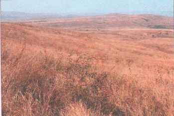 ГДЗ ответы по Географии, 6 класс, учебник Летягина, 2 часть ГДЗ ответы по Географии, 6 класс, учебник Летягина, 2 часть