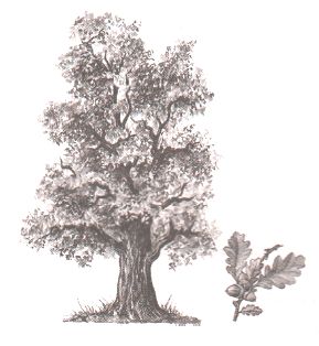 ГДЗ ответы по Географии, 6 класс, учебник Летягина, 2 часть ГДЗ ответы по Географии, 6 класс, учебник Летягина, 2 часть