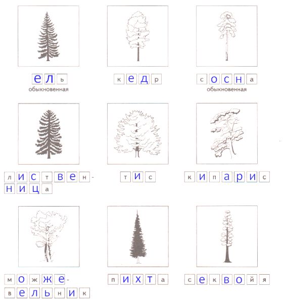 ГДЗ ответы по Географии, 6 класс, учебник Летягина, 2 часть ГДЗ ответы по Географии, 6 класс, учебник Летягина, 2 часть