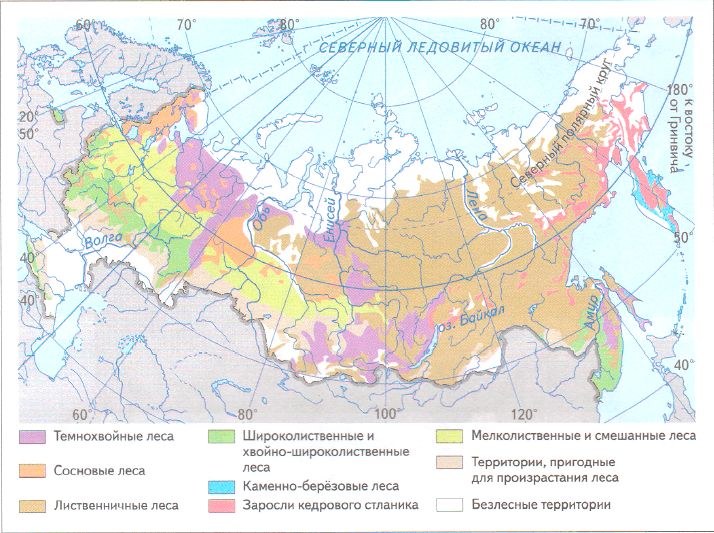 ГДЗ ответы по Географии, 6 класс, учебник Летягина, 2 часть ГДЗ ответы по Географии, 6 класс, учебник Летягина, 2 часть