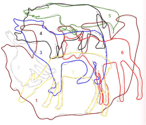 ГДЗ ответы по Географии, 6 класс, учебник Летягина, 2 часть ГДЗ ответы по Географии, 6 класс, учебник Летягина, 2 часть