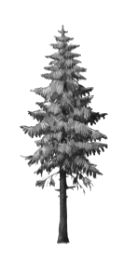 ГДЗ ответы по Географии, 6 класс, учебник Летягина, 2 часть ГДЗ ответы по Географии, 6 класс, учебник Летягина, 2 часть