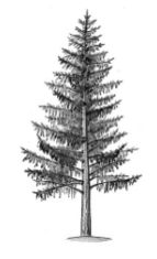 ГДЗ ответы по Географии, 6 класс, учебник Летягина, 2 часть ГДЗ ответы по Географии, 6 класс, учебник Летягина, 2 часть