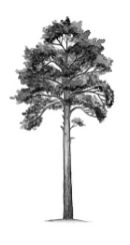 ГДЗ ответы по Географии, 6 класс, учебник Летягина, 2 часть ГДЗ ответы по Географии, 6 класс, учебник Летягина, 2 часть