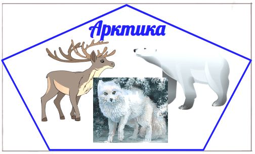 ГДЗ ответы по Географии, 6 класс, учебник Летягина, 2 часть ГДЗ ответы по Географии, 6 класс, учебник Летягина, 2 часть