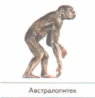 ГДЗ ответы по Географии, 6 класс, учебник Летягина, 2 часть ГДЗ ответы по Географии, 6 класс, учебник Летягина, 2 часть