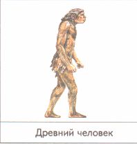 ГДЗ ответы по Географии, 6 класс, учебник Летягина, 2 часть ГДЗ ответы по Географии, 6 класс, учебник Летягина, 2 часть