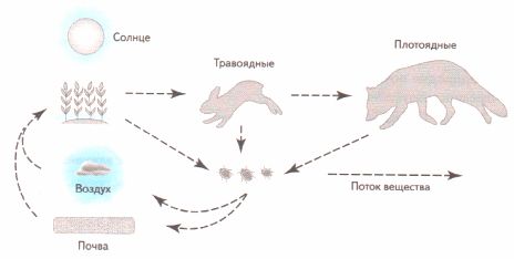 ГДЗ ответы по Географии, 6 класс, учебник Летягина, 2 часть ГДЗ ответы по Географии, 6 класс, учебник Летягина, 2 часть