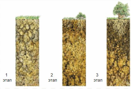 ГДЗ ответы по Географии, 6 класс, учебник Летягина, 2 часть ГДЗ ответы по Географии, 6 класс, учебник Летягина, 2 часть