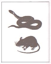 ГДЗ ответы по Географии, 6 класс, учебник Летягина, 2 часть ГДЗ ответы по Географии, 6 класс, учебник Летягина, 2 часть