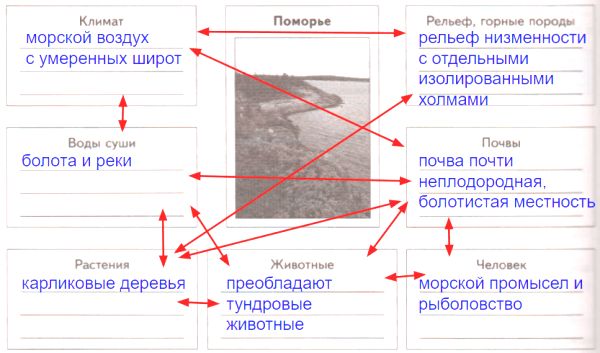 ГДЗ ответы по Географии, 6 класс, учебник Летягина, 2 часть ГДЗ ответы по Географии, 6 класс, учебник Летягина, 2 часть