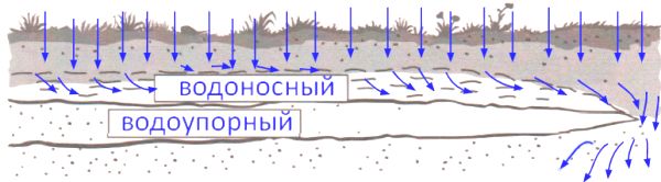 ГДЗ ответы по Географии, 6 класс, учебник Летягина, 2 часть ГДЗ ответы по Географии, 6 класс, учебник Летягина, 2 часть