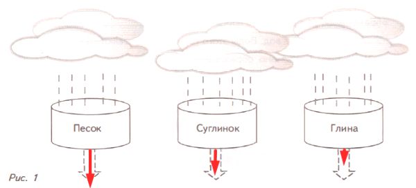 ГДЗ ответы по Географии, 6 класс, учебник Летягина, 2 часть ГДЗ ответы по Географии, 6 класс, учебник Летягина, 2 часть