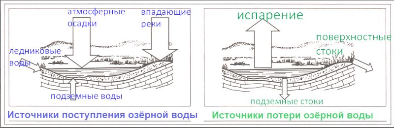 ГДЗ ответы по Географии, 6 класс, учебник Летягина, 2 часть ГДЗ ответы по Географии, 6 класс, учебник Летягина, 2 часть