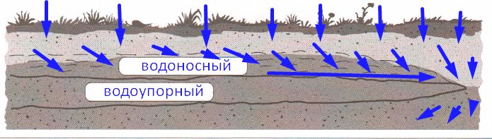 ГДЗ ответы по Географии, 6 класс, учебник Летягина, 2 часть ГДЗ ответы по Географии, 6 класс, учебник Летягина, 2 часть