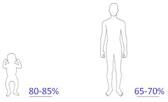 ГДЗ ответы по Географии, 6 класс, учебник Летягина, 2 часть ГДЗ ответы по Географии, 6 класс, учебник Летягина, 2 часть