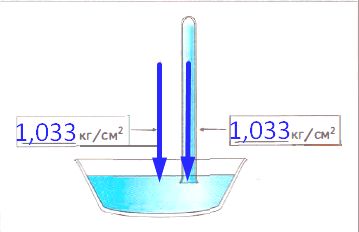 ГДЗ ответы по Географии, 6 класс, учебник Летягина, 2 часть ГДЗ ответы по Географии, 6 класс, учебник Летягина, 2 часть